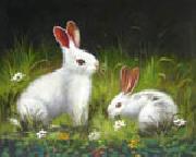 unknow artist Rabbit oil painting